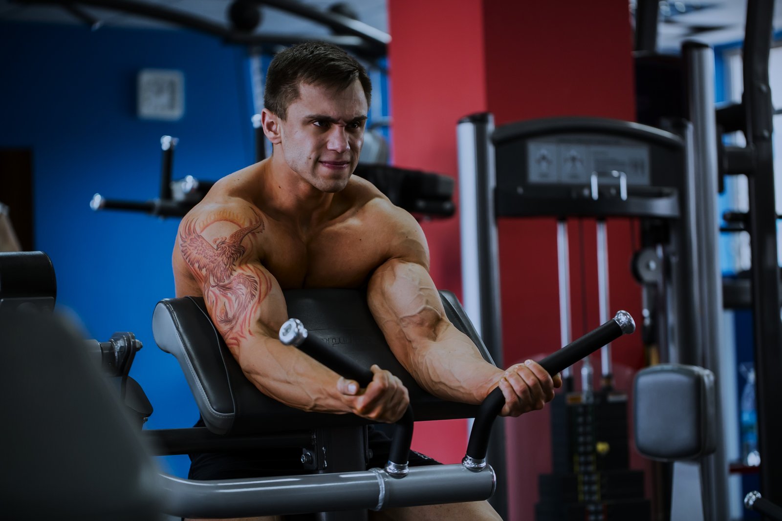 Preacher Curl Machine