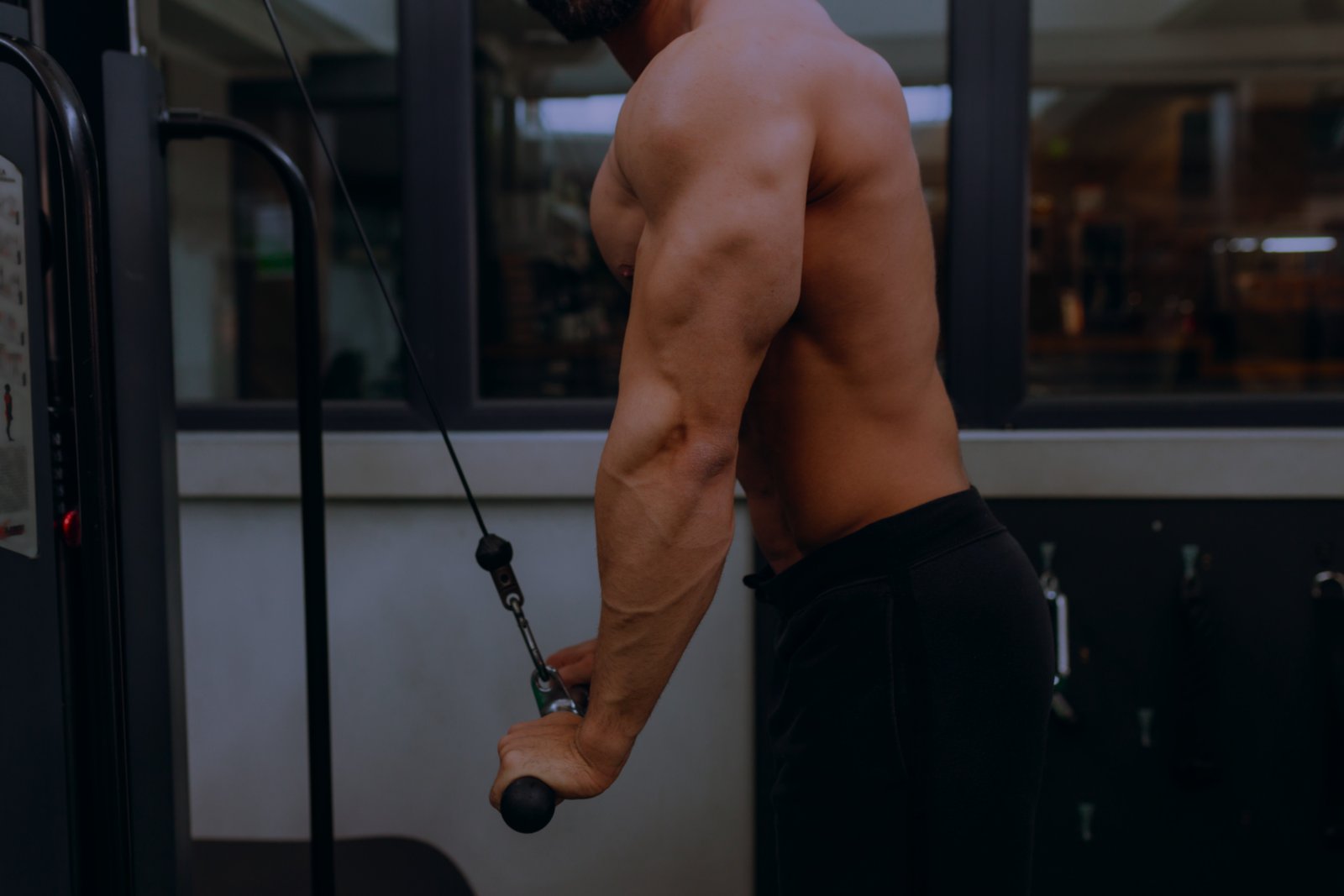 EZ Bar Triceps Extension
